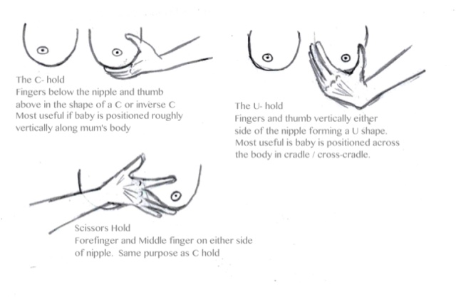 Breast Shaping  Carol Smyth IBCLC & CBT